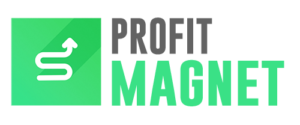 profit magnet logo