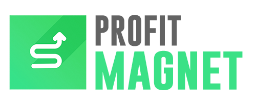 profit magnet logo