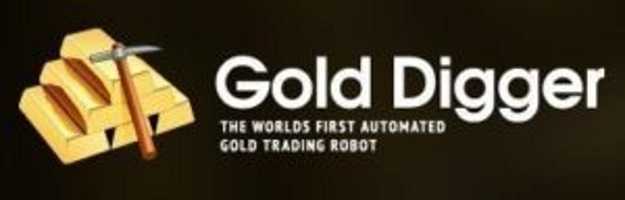 gold digger binary options