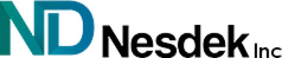 nesdek inc logo